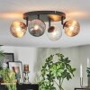 Chehalis Plafonnier, Boule lumineuse Ambre, Clair, Fumé, 4 lumières