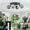 Chehalis Plafonnier, Boule lumineuse Fumé, 4 lumières