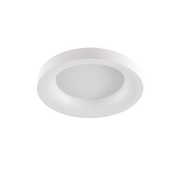 Plafonnier WOFI CAMERON LED Blanc, 1 lumière, Télécommandes