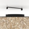 BUTTERBURN Plafonnier, Applique murale Luminaires Eglo Noir, 1 lumière