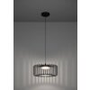 GINESTRONE-Z Suspension Luminaires Eglo LED Noir, 1 lumière, Changeur de couleurs