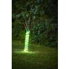 LED Bande LED Luminaires Eglo LED Blanc, 1 lumière, Changeur de couleurs
