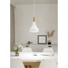 SABINAR Suspension Luminaires Eglo Blanc