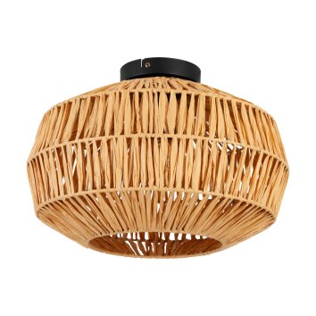 SHELDON Plafonnier Luminaires Eglo Noir, 1 lumière