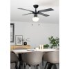 FORTALEZA Ventilateur de plafond lumineux Luminaires Eglo Noir