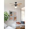 FORTALEZA Ventilateur de plafond lumineux Luminaires Eglo Noir