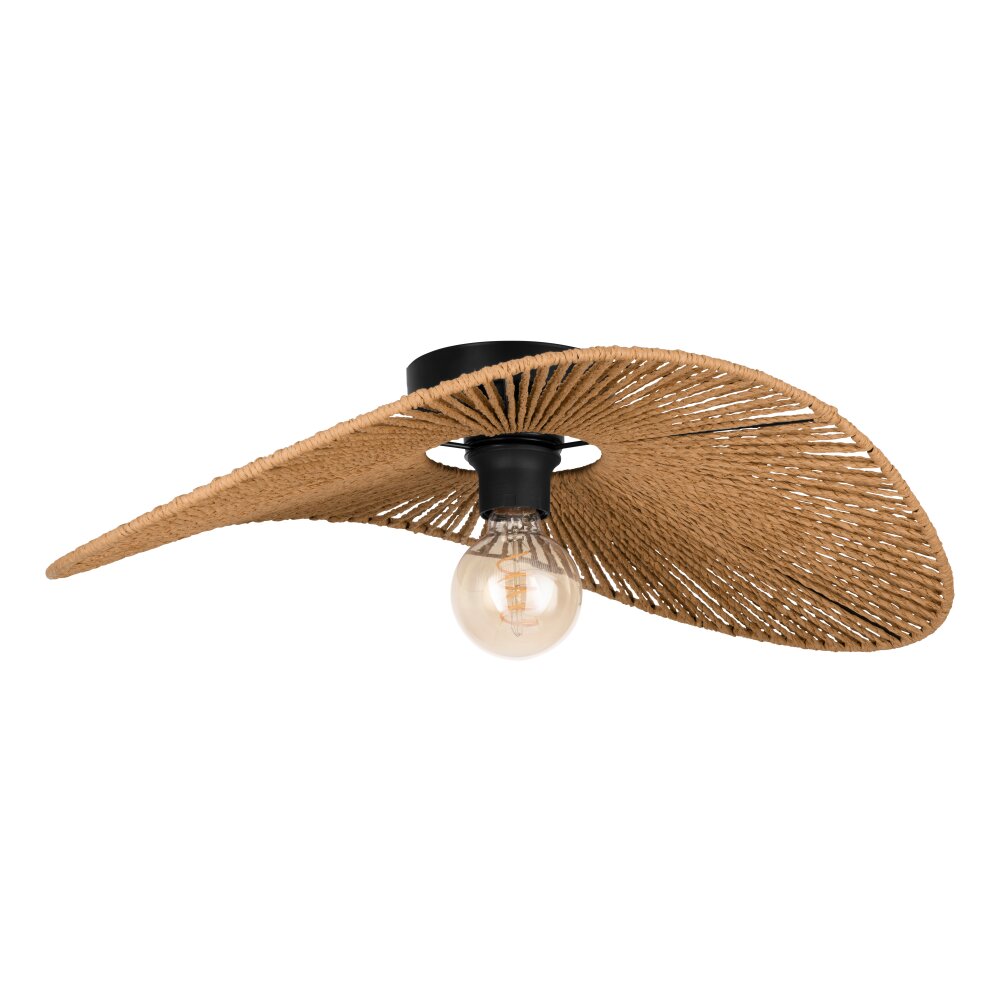 SIRUELA Plafonnier Luminaires Eglo Noir, 1 lumière main product photo