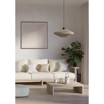 MIDSUMER Suspension Luminaires Eglo Noir, 1 lumière