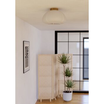 SUMMERHILL Plafonnier Luminaires Eglo Brun, 1 lumière