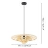 LYDNEY Suspension Luminaires Eglo Noir, 1 lumière