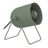 TILSTON Lampe à poser Luminaires Eglo Vert, 1 lumière