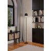 MANNERA-L Lampadaire Luminaires Eglo LED Noir, 1 lumière, Télécommandes, Changeur de couleurs