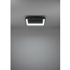 LORETELLO Plafonnier, Applique murale / Plafonnier Luminaires Eglo LED Noir, Télécommandes