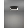 LORETELLO Plafonnier, Applique murale / Plafonnier Luminaires Eglo LED Noir, Télécommandes