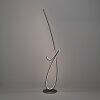 CARDONCITO Lampadaire Luminaires Eglo LED Noir, Changeur de couleurs