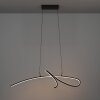 CARDONCITO Suspension Luminaires Eglo LED Noir, Changeur de couleurs