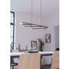 BOYAL Suspension Luminaires Eglo LED Brun, Noir