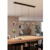 HORTUNAS Suspension Luminaires Eglo LED Noir