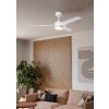 ORCUTT Ventilateur de plafond lumineux Luminaires Eglo LED blanc mat, Télécommandes