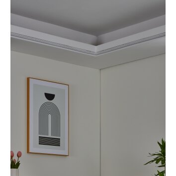 NEON-STRIPE-Z Bande LED Luminaires Eglo LED Blanc, Changeur de couleurs