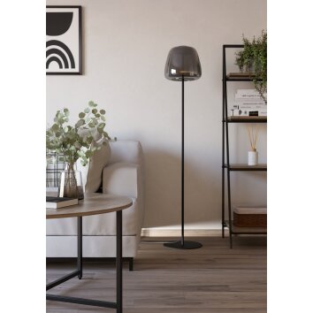 ALFERO-Z Lampadaire Luminaires Eglo LED Noir, Changeur de couleurs