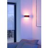 SANIA-Z Applique murale Luminaires Eglo LED Noir, Changeur de couleurs