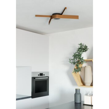 FOLCINO-Z Plafonnier Luminaires Eglo LED Bronze, Noir, Changeur de couleurs