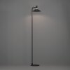 CONOMAVILLA-Z Lampadaire Luminaires Eglo LED Noir, Changeur de couleurs