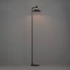 CONOMAVILLA-Z Lampadaire Luminaires Eglo LED Noir, Changeur de couleurs