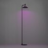 CONOMAVILLA-Z Lampadaire Luminaires Eglo LED Noir, Changeur de couleurs