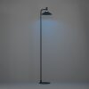 CONOMAVILLA-Z Lampadaire Luminaires Eglo LED Noir, Changeur de couleurs