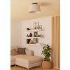 FEBRES Plafonnier Luminaires Eglo Noir