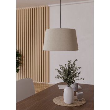 FEBRES Suspension Luminaires Eglo Noir