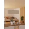 FEBRES Suspension Luminaires Eglo Noir