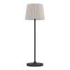 LEONERO Lampe à poser Luminaires Eglo LED Noir, Télécommandes