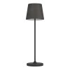 LEONERO Lampe à poser Luminaires Eglo LED Noir, Télécommandes