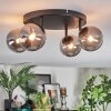 Chehalis Plafonnier, Boule lumineuse Fumé, 4 lumières