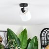 Bassagoda Plafonnier, Spot de plafond Noir, 1 lumière