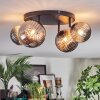 Chehalis Plafonnier, Boule lumineuse Fumé, 4 lumières