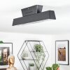 Tarin Plafonnier LED Noir, 1 lumière, Changeur de couleurs