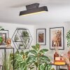 Tarin Plafonnier LED Noir, 1 lumière, Changeur de couleurs
