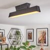 Tarin Plafonnier LED Noir, 1 lumière, Changeur de couleurs