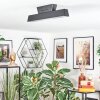 Tarin Plafonnier LED Noir, 1 lumière, Changeur de couleurs