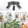 Foren Plafonnier, Spot de plafond LED Noir, 3 lumières, Changeur de couleurs