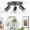 Foren Plafonnier, Spot de plafond LED Noir, 3 lumières, Changeur de couleurs