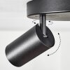 Foren Plafonnier, Spot de plafond LED Noir, 3 lumières, Changeur de couleurs