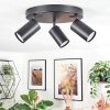 Foren Plafonnier, Spot de plafond LED Noir, 3 lumières, Changeur de couleurs