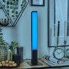 Delan Lampe à poser LED Noir, 1 lumière, Changeur de couleurs Delan Lampe à poser LED Noir, 1 lumière, Changeur de couleurs