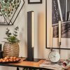 Delan Lampe à poser LED Noir, 1 lumière, Changeur de couleurs Delan Lampe à poser LED Noir, 1 lumière, Changeur de couleurs