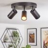Foren Plafonnier, Spot de plafond LED Noir, 3 lumières, Changeur de couleurs